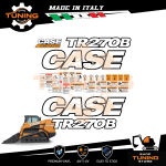 Kit Adesivi Mezzi da Lavoro Case Minipala TR270B tier 4