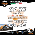 Kit Adesivi Mezzi da Lavoro Case Minipala TR310B tier 4